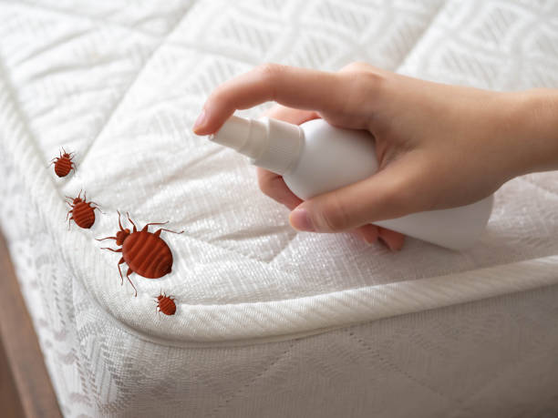 Reliable Palmdale, PA Pest control Solutions